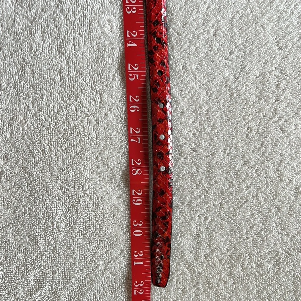 Brighton Red and Black Belt
